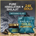 sesa-shilajit-gold-resin-40g-with-24k-go-81vhCglyntL.jpg