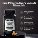 better-alt-shilajit-shilajeet-capsules-l-71h7XAHOb7L.jpg
