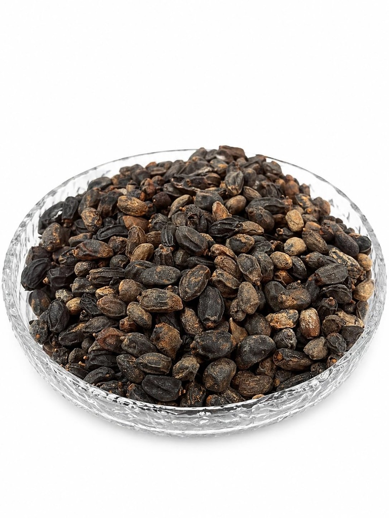 neem-seeds-azadirachta-indica-nimboli-ne-71i1J8O3JkL.jpg
