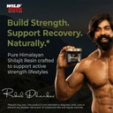 wild-buck-nutrition-pure-himalayan-shila-61WEr0ZBDWL.jpg