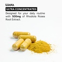 rhodiola-ginseng-l-theanine-900mg-wellne-71-SW4KgqDL.jpg