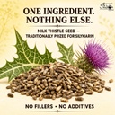 the-indian-chai-organic-milk-thistle-see-71npcd8LRQL.jpg