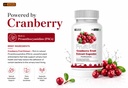 leewell-cranberry-fruit-extract-capsules-71GTD2eu+WL.jpg