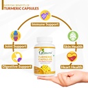 grenera-neem-capsules-90-no-turmeric-cap-71hl7DtYbPL.jpg