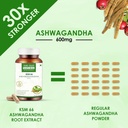 the-old-natural-ksm-66-ashwagandha-600-m-714t4DQbAEL.jpg