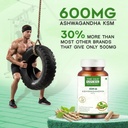 the-old-natural-ksm-66-ashwagandha-600-m-71mrtI7bYwL.jpg