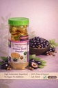 jamun-seed-powder-high-antioxidant-super-71OSgPHy7iL.jpg