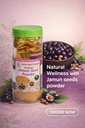 jamun-seed-powder-high-antioxidant-super-71D8Q-yuStL.jpg
