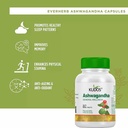 kudos-ashwagandha-tablets-60-tablets-51U96-hYJwL.jpg