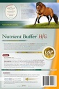 hg---equine-hind-gut-lower-gastric-diges-2.jpg