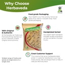 panax-ginseng-root-for-instant-energy-an-61zW+SHou+L.jpg