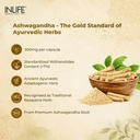 inlife-ashwagandha-extract-500mg-supplem-91W-t688Q2L.jpg