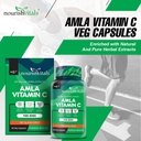 nourishvitals-amla-vitamin-c-with-tannin-71b981BlQgL.jpg