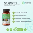 merlion-naturals-milk-thistle-and-dandel-71hWabb1oaL.jpg