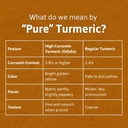 honey-and-spice-high-curcumin-turmeric-2-61GLQsSwCnL.jpg