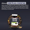 siberian-ginseng-for-improve-immunity-bo-61Fl4EZ9P4L.jpg
