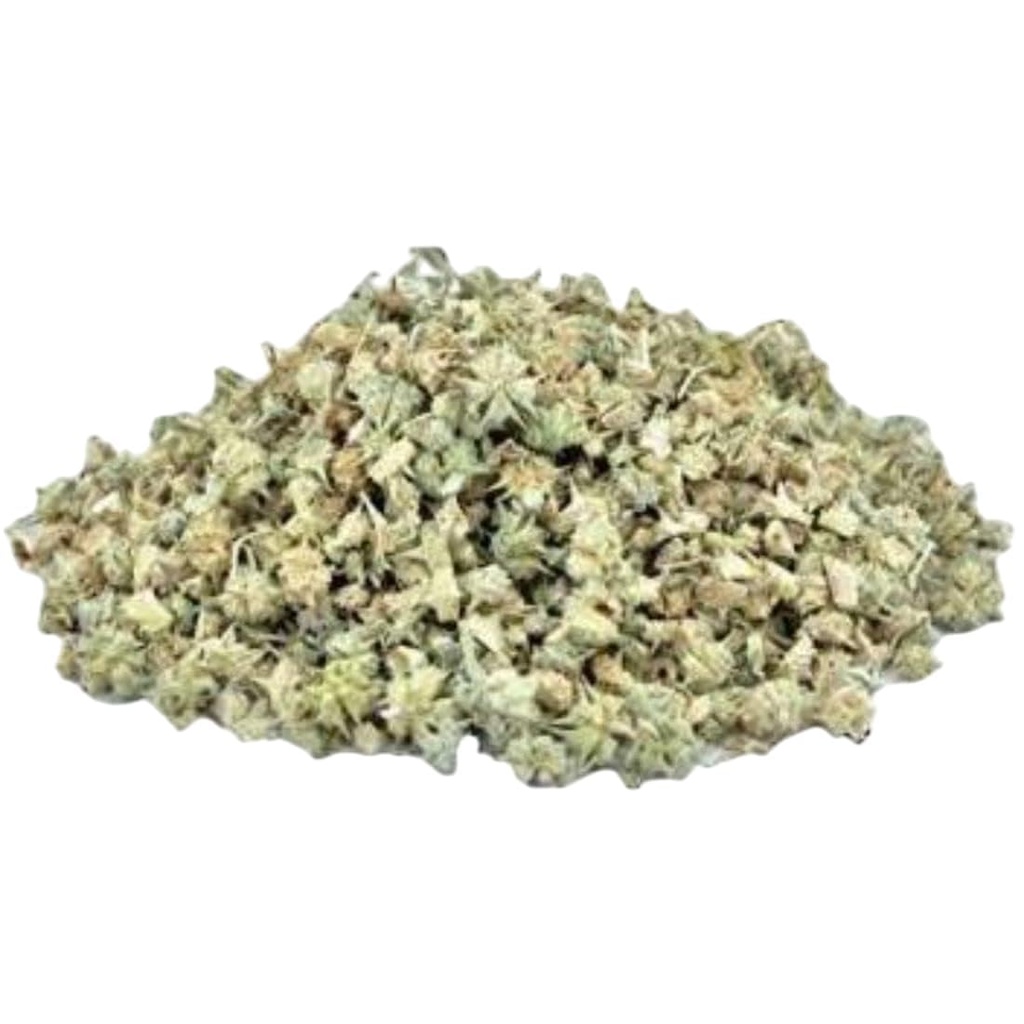 gokhru-chota-tribulus-terrestris-seeds-s-51-b0Z-q+cL.jpg