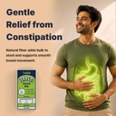 isabgol-psyllium-husk-powder-100g-natura-61FagpfqXEL.jpg