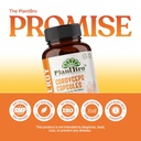 cordyceps-militaris-extract-30-capsules--81rCi93TfrL.jpg