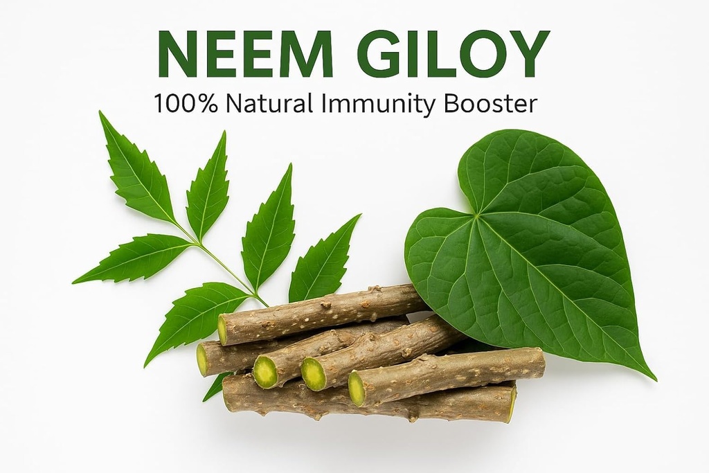 natural-neem-giloy-fresh-plant-sticks-6--61qIZLn5ZhL.jpg