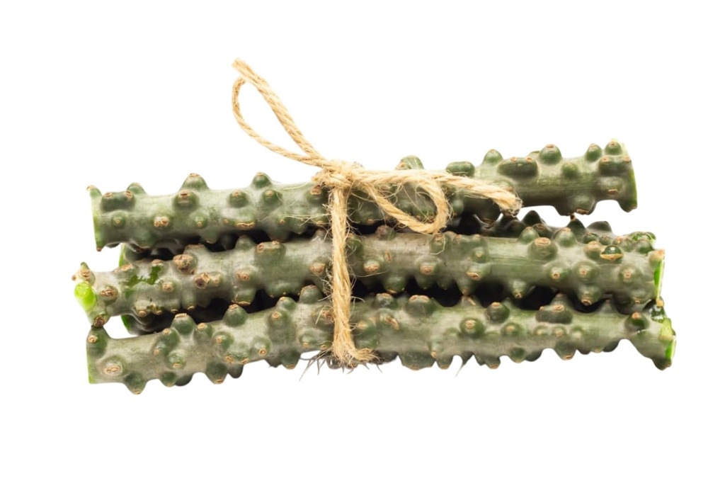 neem-giloy-sticks-guduchi-giloi-bel-6-in-51BHIOYIckL.jpg