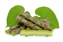 neem-giloy-sticks-guduchi-giloi-bel-6-in-61bCykGUxTL.jpg