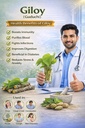 sgp-natural-giloy-neem-fresh-plant-stems-71mWdtG9tyL.jpg