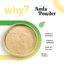 pure-organio-organic-fresh-amla-powder-v-71dh8fKiAfL.jpg