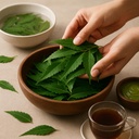 jethiya-fresh-neem-leaves-100g-100-organ-6184ZMRzWVL.jpg