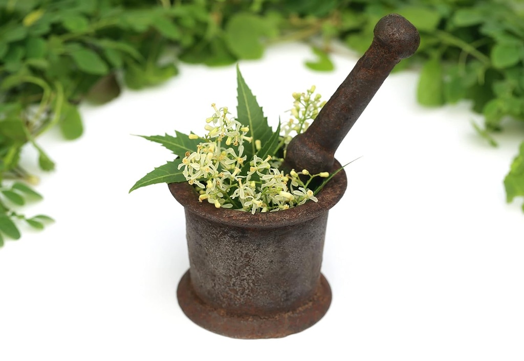 fresh-neem-flower-100-gram-61KOYL5K7mL.jpg