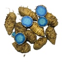 vinarghya-pure-original-natural-kali-hal-71qQbY5XHRL.jpg
