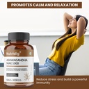 ashwagandha-extract-standardized-to-5-wi-71oK0od-k8L.jpg