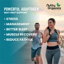 nutty-organics-ashwagandha-powder-usda-o-71WYkxwRPjL.jpg
