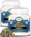 biotic-natural-gokhru-capsules-tribulus--61h-9lgnxeL.jpg