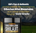pure-himalayan-shilajit-gold-resin-20g-p-81-OhvrHWoL.jpg