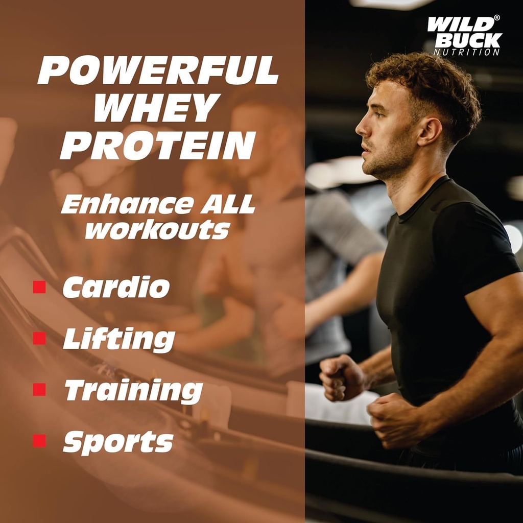 wild-buck-premier-whey-protein-concentra-71Qi6JVvGPL.jpg