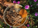 lakadong-turmeric-fresh-organic-root-pre-817CYaOr6CL.jpg