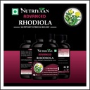 rhodiola-rosea-root-extract-500mg-non-gm-61+r9+tAe-L.jpg