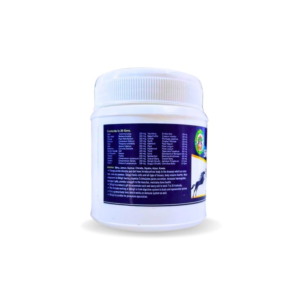 adarsh-ayurvedic-pharmacy-shilajit-vati--51PIqCQZYLL.jpg