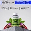 health-veda-organics-berberine-supplemen-71QKsV4sbEL.jpg