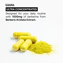 berberine-1000-mg-berberis-aristata-extr-71i836hNSLL.jpg