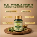 pankajakasthuri-giloy-tablets-immunity-b-71zO-siTDsL.jpg