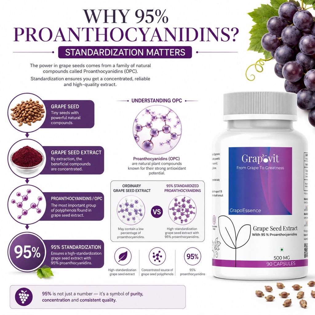 grape-seed-extract-antioxidant-support-h-7104tNy5KFL.jpg