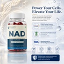 nad-nicotinamide-riboside-chloride-capsu-71Xz1eYckFL.jpg