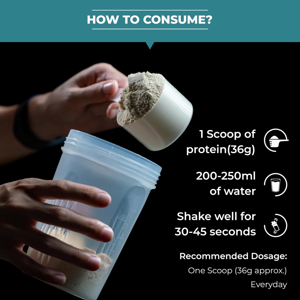 rhn-100-whey-protein-isolate-500-gm-coco-71doMBkA8iL.jpg