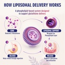 2400-mg-liposomal-glutathione-pure-reduc-71x9Dr-givL.jpg
