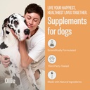 ollie-dog-skin-coat-supplement-soothes-i-3.jpg