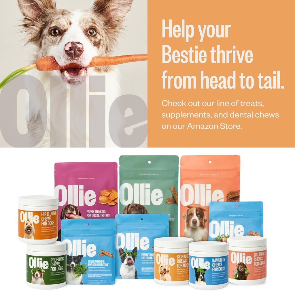 ollie-dog-skin-coat-supplement-soothes-i-6.jpg