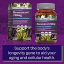 resvitale-resveratrol-250-mg---resveratr-5.jpg