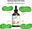 pet-wellbeing-immune-sure-for-dogs---sup-4.jpg